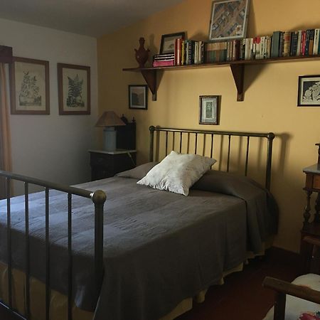 Casa Rural Cortijo Del Zoco Bajo Pozoblanco Kültér fotó
