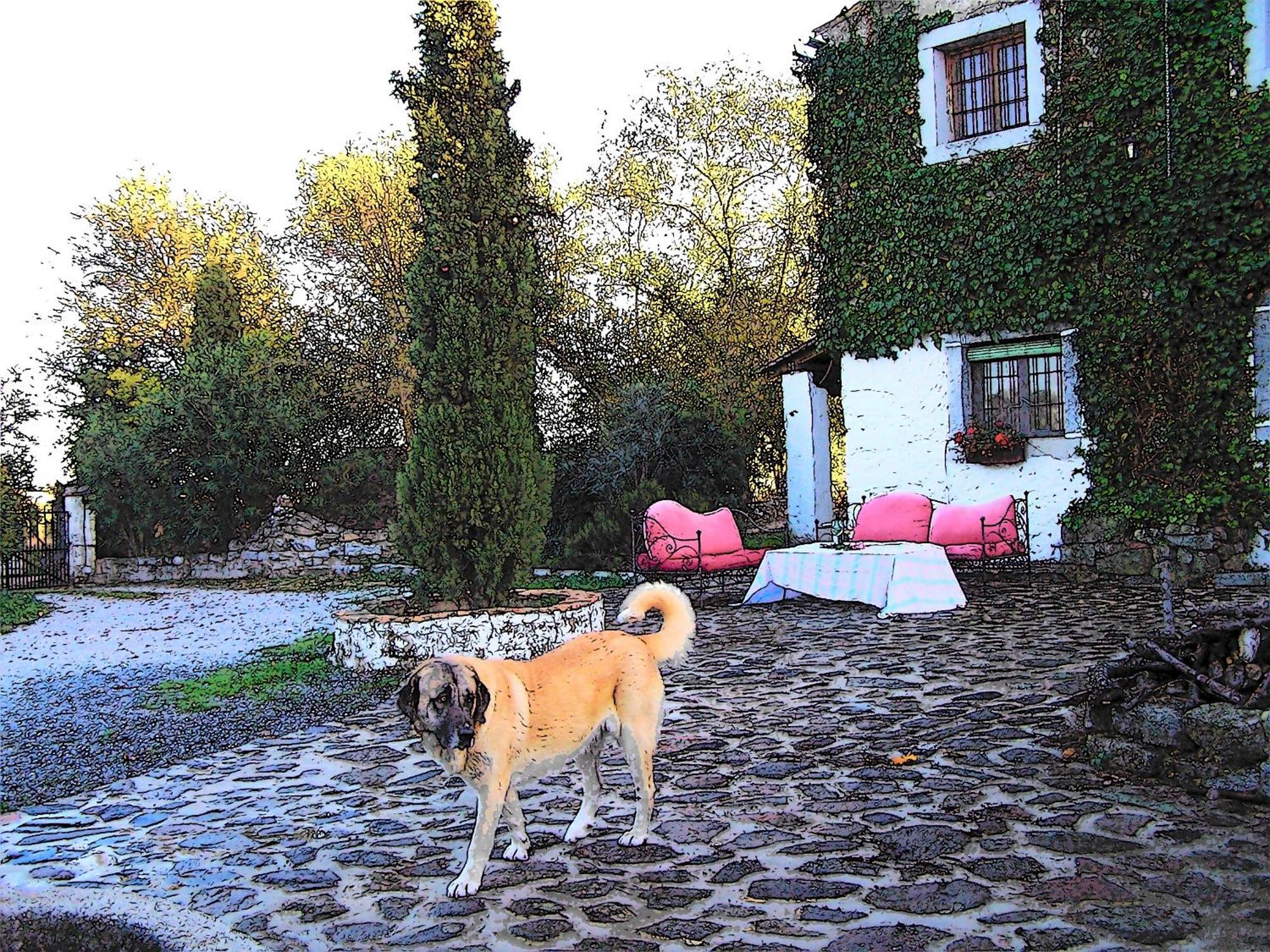 Casa Rural Cortijo Del Zoco Bajo Pozoblanco Kültér fotó